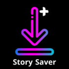 Video Downloader and Stories Pro